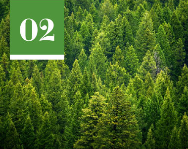 林業再生、山の整備・保全
